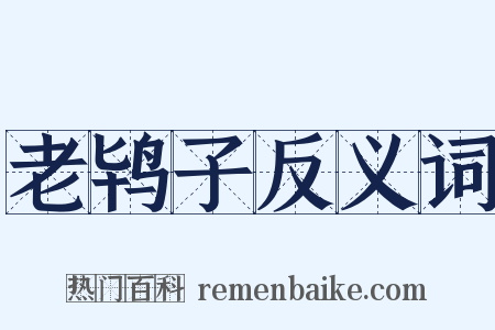 老鸨子反义词是什么意思的图片